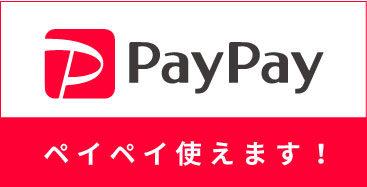 paypay logo